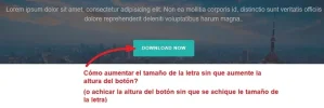 reducir-altura-boton.webp