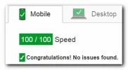 pagespeed.webp