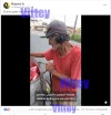 video de perro.webp