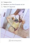 23232.webp