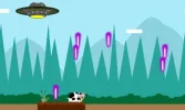 vaca2.webp