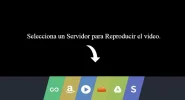 player.webp