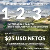 forobeta1.webp