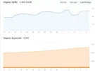 Opera Instantánea_2019-01-10_093916_ahrefs.com.webp