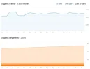 Opera Instantánea_2019-01-10_094753_ahrefs.com.webp