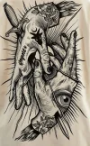 camiseta2.webp