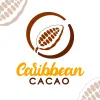 CC-01.webp