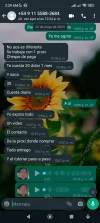 Screenshot_2023-06-07-02-29-13-822_com.whatsapp.w4b.webp