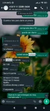 Screenshot_2023-06-07-02-29-11-315_com.whatsapp.w4b.webp