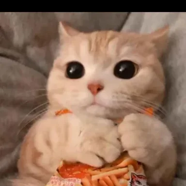 Compra - Compro cuenta de tiktok free fire