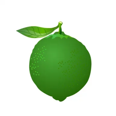 forobeta.com