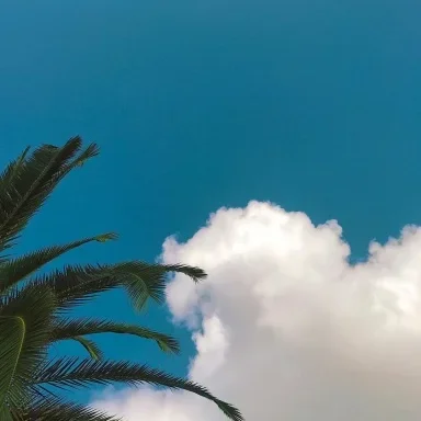 forobeta.com
