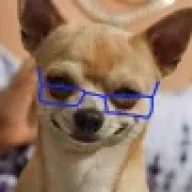 JulianElman