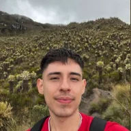 crazysebas