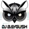 BayGush