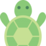 turtletoken