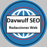 DavwulfSEO Redacción Web