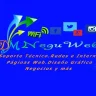 Neguweb