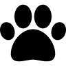 Jocsan