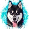 Rancko