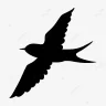 Pajarito