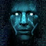 RootSeo