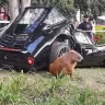 capibaraeditor