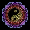 Occulta