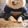 Ribrox