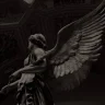 vanazz_