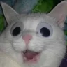 jarck