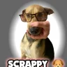 Scrappy 🐶