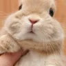 Manu_99