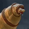 tuputamalder