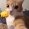 RenatoMendz