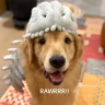 DavidGST