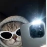 javiz