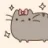 kitten