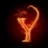 Yoelvzz