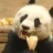 pandaasesino32