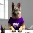 Playmuve