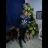Josemcacol
