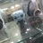 Rigo27