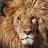 lionpremium