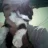 josefbl