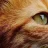 Maik tail