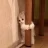 Moogle