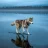 LWOLF