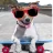 checoone