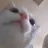 Yoshua